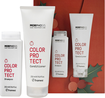 Framesi Morphosis Color Protect (Новогодний набор для ухода за волосами), 2 шт x 250 мл