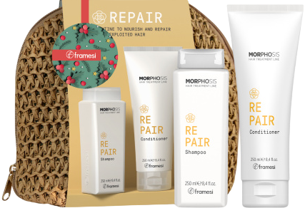 Framesi Kit Pochette Rafia Repair (Новогодний набор для ухода за волосами), 2 шт x 250 мл