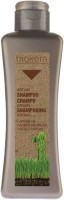 Salerm Biokera Champu Argan (Шампунь с аргановым маслом)