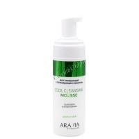 Aravia Professional Cool Cleansing mousse (Мусс очищающий с охлаждающим эффектом с алоэ вера и аллантоином), 160 мл