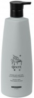 Qinye Ginger Anti-Hair Loss & Oil Control Shampoo (Шампунь против выпадения волос)
