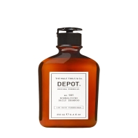 Depot 101 Normalizing Daily Shampoo (Нормализующий ежедневный шампунь)