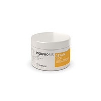 Framesi Morphosis Color Protect Repair Rich Treatment (Восстанавливающая маска интенсивного действия для поврежденных волос)