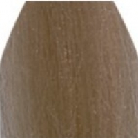 Epica Professional ColorShade Hair Color Creme (Перманентная крем-краска), 100 мл