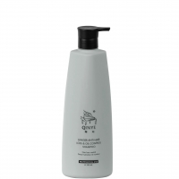 Qinye Ginger Anti-Hair Loss & Oil Control Shampoo (Шампунь против выпадения волос)