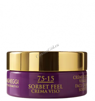 Vagheggi 75-15 Face Cream Sorbet (Крем-сорбет для лица), 50 мл