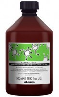 Davines Renewing Pro Boost Superactive (Обновляющий суперактивный бустер), 500 мл