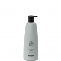 Qinye Color Protection Shampoo (Шампунь защита цвета окрашенных волос)