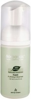 Anna Lotan Foam Purifying Cleanser (Очищающая пенка «Барбадос»), 125 мл