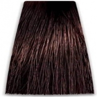 Prosalon Intensis Color Art Permanent Color Cream (Краска для волос), 100 мл