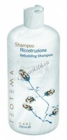 Teotema Shampoo ricostruzione rebuilding (Восстанавливающий шампунь)