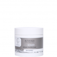 Alterego Italy Instant Shaping Mask (Моделирующая маска для непослушных волос)