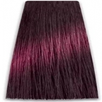 Prosalon Intensis Color Art Permanent Color Cream (Краска для волос), 100 мл