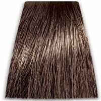Prosalon Intensis Color Art Permanent Color Cream (Краска для волос), 100 мл
