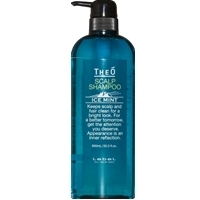 Lebel Theo Sclap Shampoo Ice Mint (Шампунь охлаждающий)