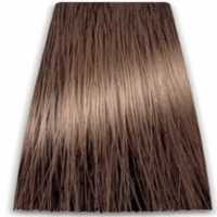 Prosalon Intensis Color Art Permanent Color Cream (Краска для волос), 100 мл