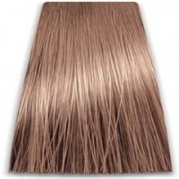 Prosalon Intensis Color Art Permanent Color Cream (Краска для волос), 100 мл