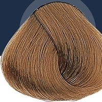 Alfaparf Evolution of the Color (Перманентный краситель для волос), 60 мл