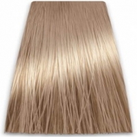 Prosalon Intensis Color Art Permanent Color Cream (Краска для волос), 100 мл