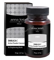 Anna Lotan Pro Emblica C active powder concentrate («Эмблика С» Активный концентрат-порошок), 70 гр