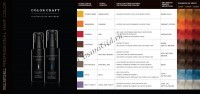 Paul Mitchell Color Craft (Индивидуальный колор-сервис)