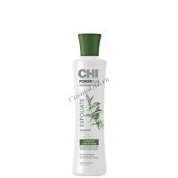 CHI Power Plus Exfoliate shampoo (Отшелушивающий шампунь для волос и кожи головы)