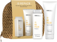 Framesi Kit Pochette Rafia Repair (Набор для ухода за волосами), 2 шт x 250 мл