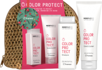 Framesi Kit Pochette Rafia Color Protect (Новогодний набор для ухода за волосами), 2 шт x 250 мл