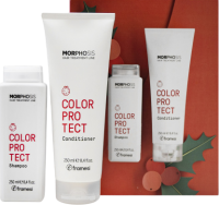 Framesi Morphosis Color Protect (Новогодний набор для ухода за волосами), 2 шт x 250 мл