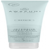 Paul Mitchell Intensive Treatment (Интенсивно восстанавливающая маска для волос)