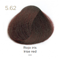 Tempting Professional Vegan Permanent Color (Перманентный краситель), 100 мл