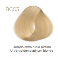 Tempting Professional Vegan Permanent Color (Перманентный краситель), 100 мл