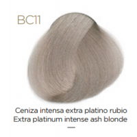 Tempting Professional Vegan Permanent Color (Перманентный краситель), 100 мл