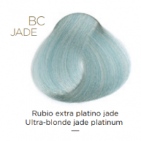 Tempting Professional Vegan Permanent Color (Перманентный краситель), 100 мл