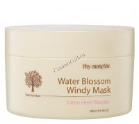 Phy-mongShe Water Blossom Windy mask (Увлажняющая маска).