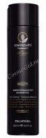 Paul Mitchell Awapuhi Wild Ginger Mirrorsmooth Shampoo (Увлажняющий разглаживающий шампунь)