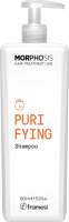 Framesi Morphosis Purifying Shampoo (Шампунь от перхоти для глубокого очищения)