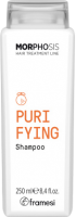 Framesi Morphosis Purifying Shampoo (Шампунь от перхоти для глубокого очищения)
