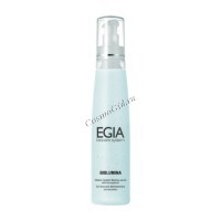 Egia Vitamin Complex Washing Up Gel (Гель очищающий с антиоксидантным комплексом в микросферах), 200 мл