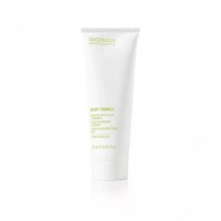 Vagheggi Bright Formula Regenerating Brightening Mask - Pigment Equalizer (Маска для сияния Эквалайзер), 250 мл