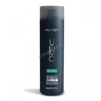 Alfaparf Atomized Sea Water Energetic Shampoo Silver (Энергетический «серебряный» шампунь), 200 мл