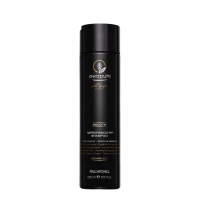 Paul Mitchell Awapuhi Wild Ginger Mirrorsmooth Shampoo (Увлажняющий разглаживающий шампунь)