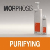Framesi Morphosis Purifying Shampoo (Шампунь против перхоти)