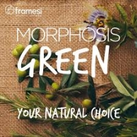 Framesi Morphosis Green Daily Shampoo (Био - шампунь натуральный для ежедневного применения для волос)