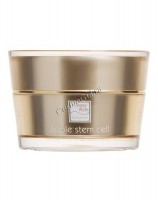 Beauty style Apple stem cell rejuvenating face night cream (Лифтинговый ночной крем для лица «аpple stem cell»)