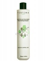 Teotema Cleaning shampoo with keratin (Очищающий шампунь с кератином), 500 мл