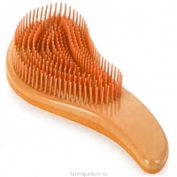 Teotema Detangling brush (Распутывающая щетка)