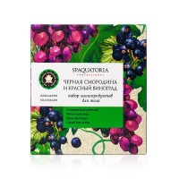 Spaquatoria Blackcurrant and Red Grapes Mini Kit (Набор мини продуктов Черная смородина и красный виноград), 2шт*50 мл, 2шт*60мл