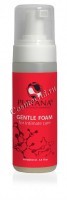 Pleyana Gentle Foam for Intimate Care (Нежная пенка для интимной гигиены)