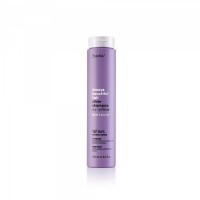 Erayba Abh silver shampoo no-yellow (Шампунь тонирующий с фиолетовым пигментом)